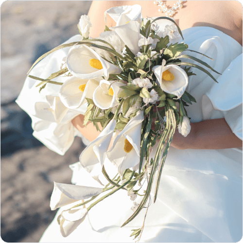 レビュー Y&Yさま